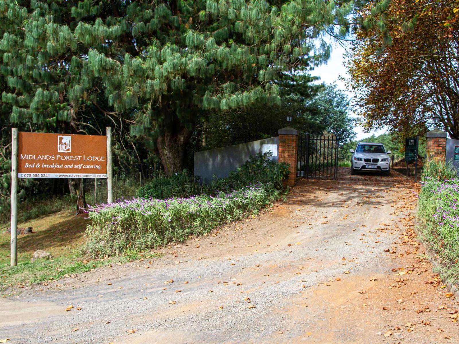 Midlands Forest Lodge Balgowan Exterior foto